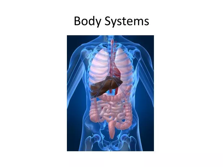 body systems