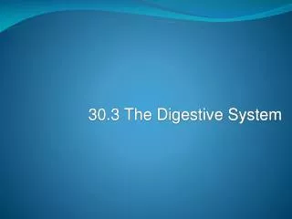 30.3 The Digestive System