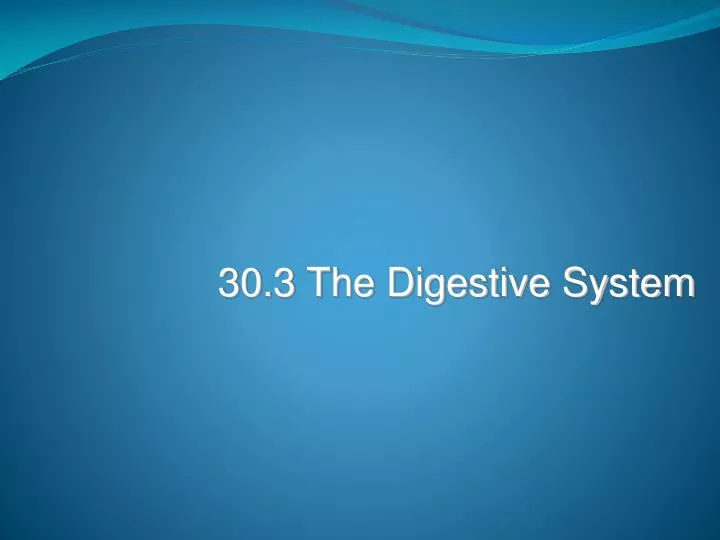 30 3 the digestive system