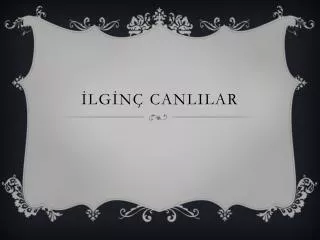 lg n canlilar