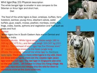Whit tiger(Ray 23) Physica l description