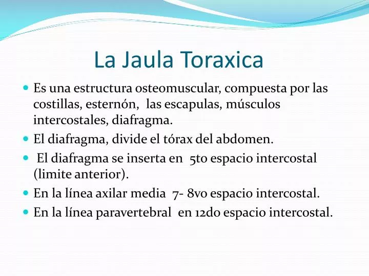 la jaula toraxica