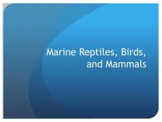 Marine Reptiles, Birds, and Mammals