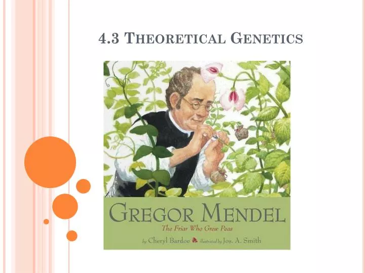 4 3 theoretical genetics