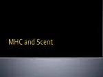 MHC and Scent - slide 1