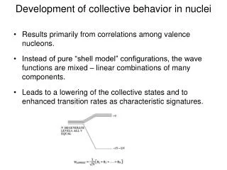 Development of collective behavior in nuclei