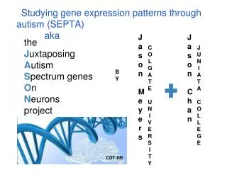 the J uxtaposing A utism S pectrum genes O n N eurons project