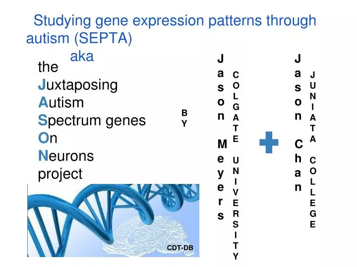 the j uxtaposing a utism s pectrum genes o n n eurons project