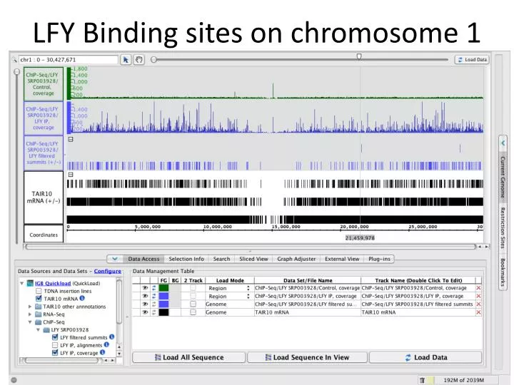 lfy binding sites on chromosome 1