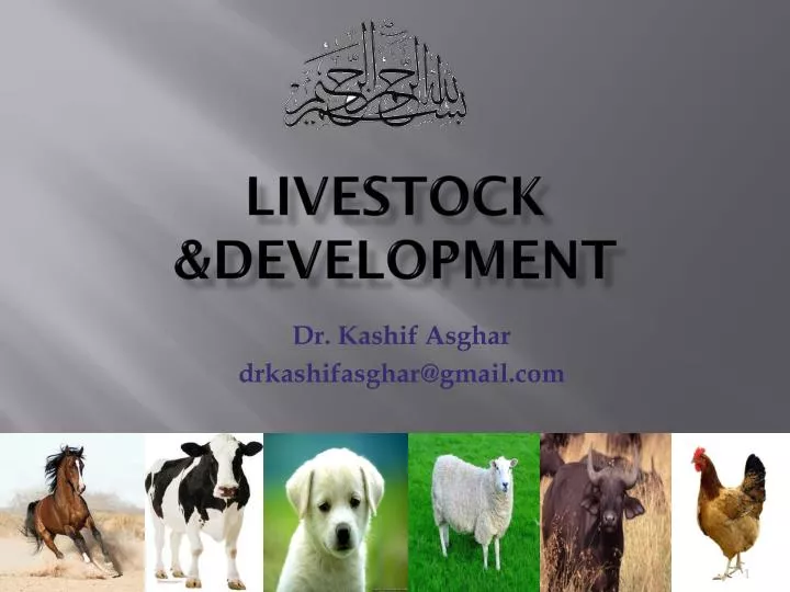 livestock development