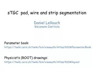 sTGC pad, wire and strip segmentation Daniel Lellouch Weizmann Institute