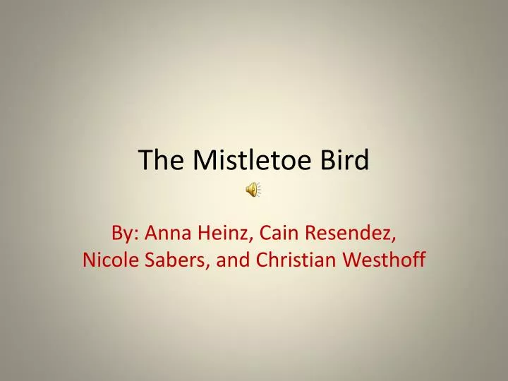 the mistletoe bird