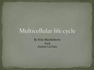 Multicellular life cycle