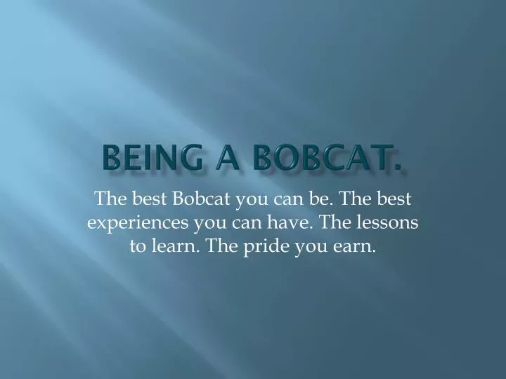 being a bobcat