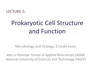 Prokaryotic Cell Structure and Function