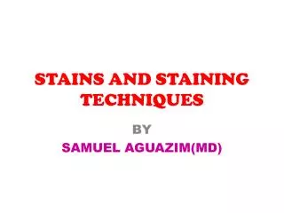 STAINS AND STAINING TECHNIQUES