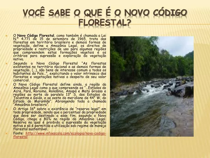 voc sabe o que o novo c digo florestal