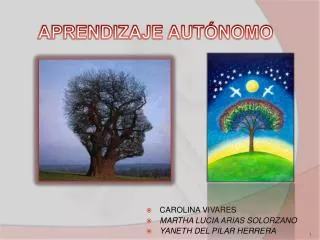 aprendizaje aut nomo