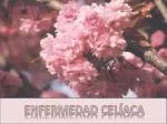 Enfermedad celíaca - slide 1