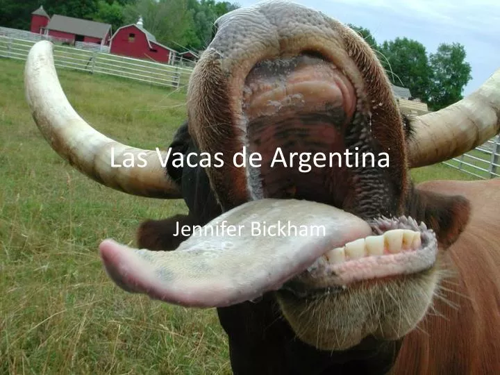 las vacas de argentina