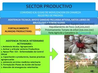 sector productivo