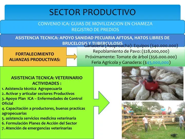 sector productivo