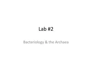 Lab #2