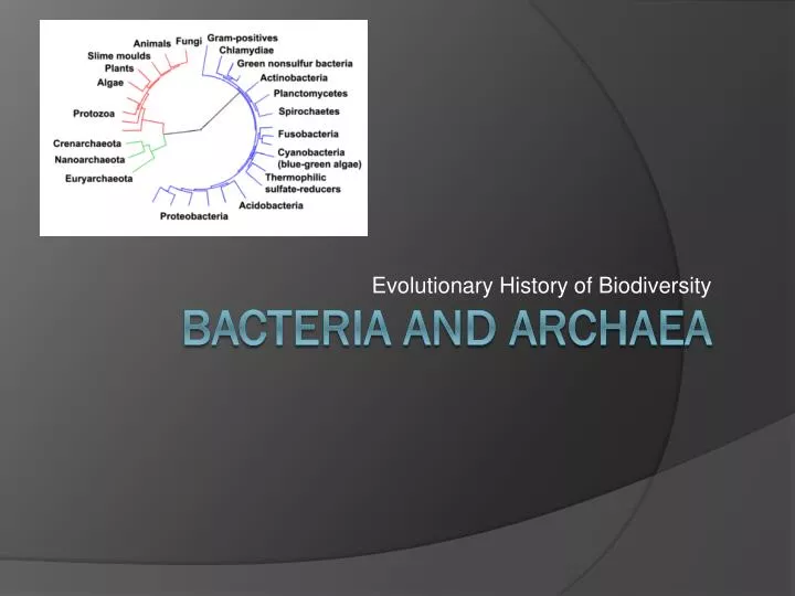 evolutionary history of biodiversity