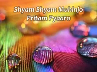 Shyam Shyam Muhinjo Pritam Pyaaro