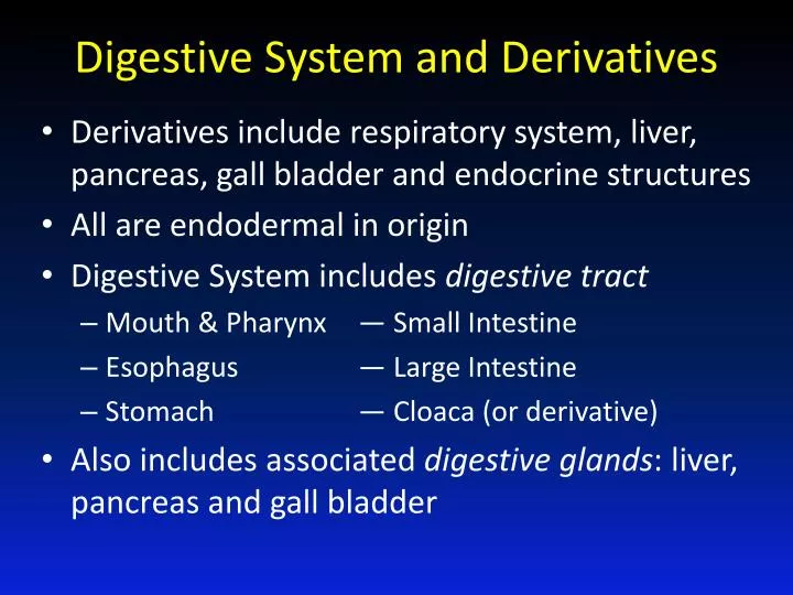 digestive system and derivatives