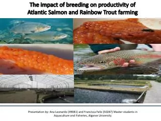 The impact of breeding on productivity of Atlantic Salmon and Rainbow Trout farming