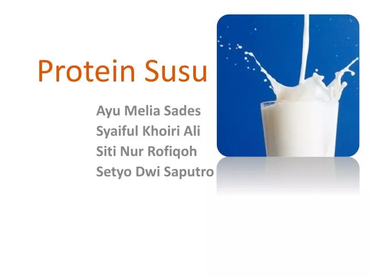 protein susu