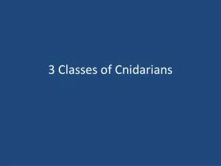 3 Classes of Cnidarians