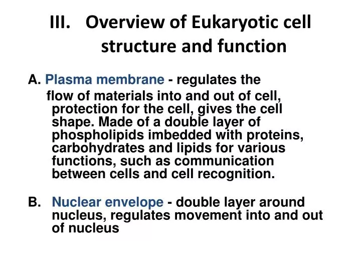 iii overview of eukaryotic cell structure and function