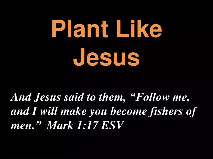 plant like jesus