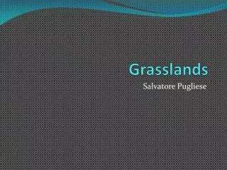 Grasslands