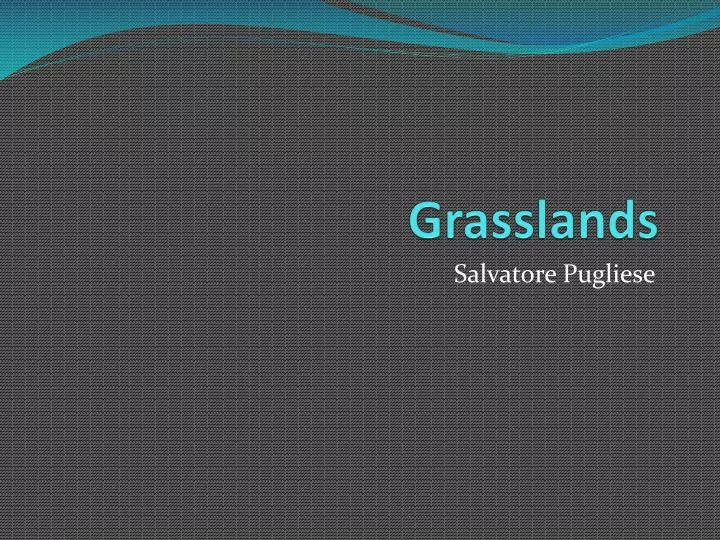 grasslands