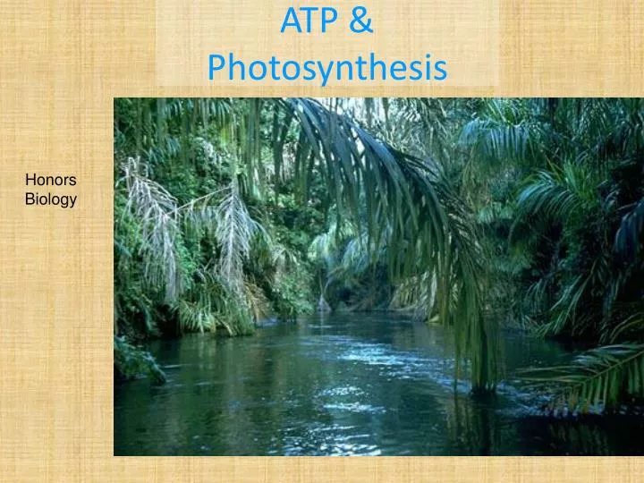 atp photosynthesis