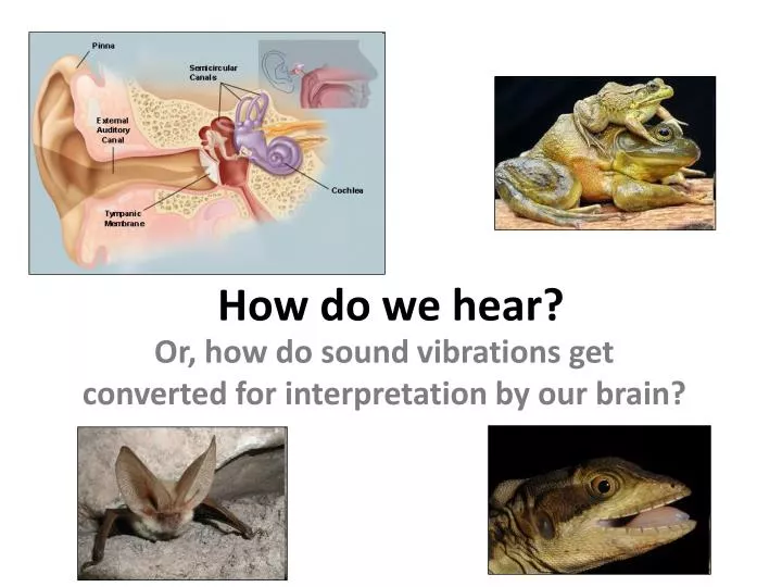 how do we hear