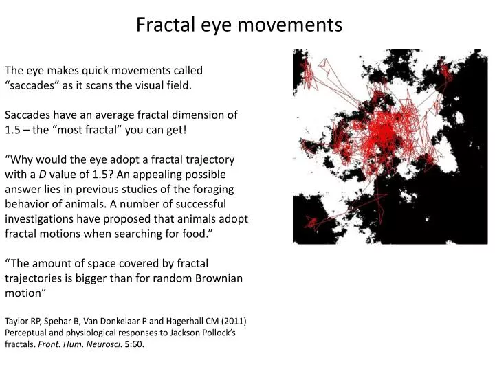 fractal eye movements