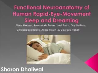Functional Neuroanatomy of Human Rapid-Eye-Movement Sleep and Dreaming