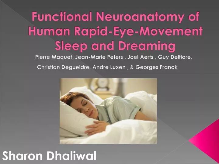 functional neuroanatomy of human rapid eye movement sleep and dreaming