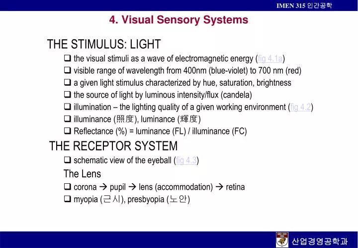 4 visual sensory systems