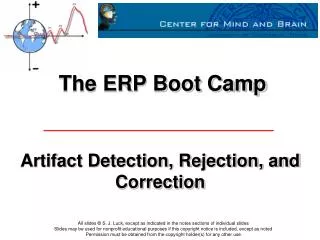 The ERP Boot Camp