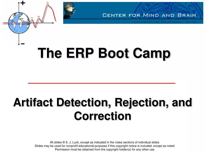 the erp boot camp