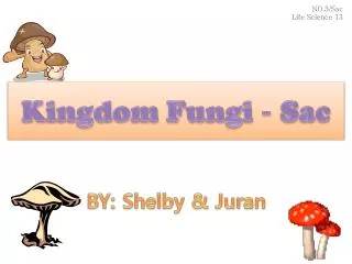 Kingdom Fungi - Sac
