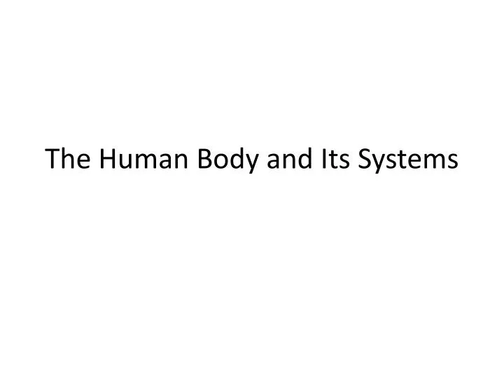 the human body and its systems