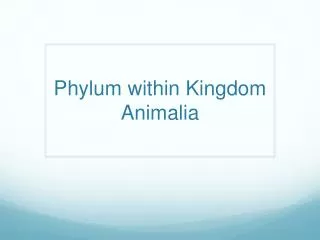 Phylum within Kingdom Animalia