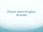 Phylum within Kingdom Animalia - slide 1