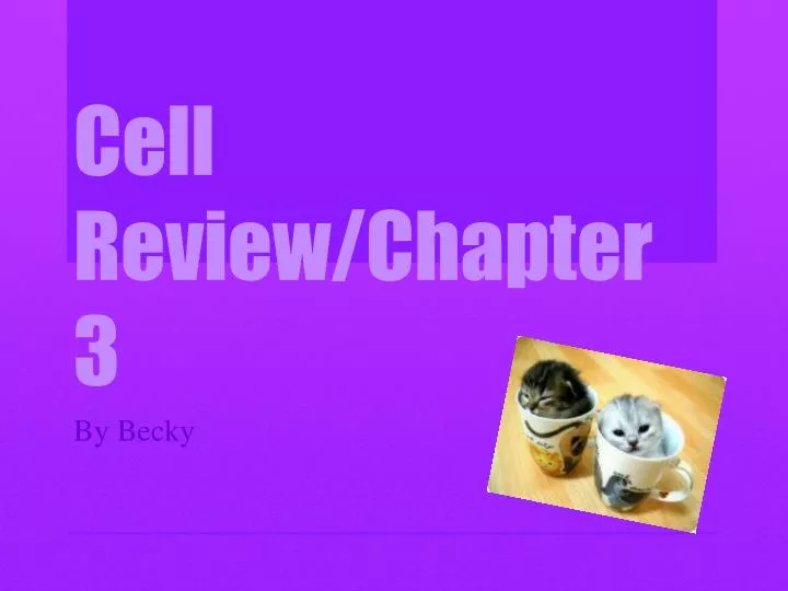 cell review chapter 3